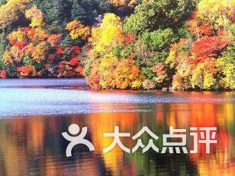 共建合作,柳州这两个单位党支部签约啦!